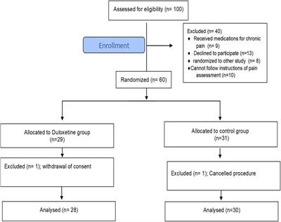Evaluation of preoperative duloxetine use for <mark class="highlighted">postoperative analgesia</mark> following laparoscopic cholecystectomy: A randomized controlled trial